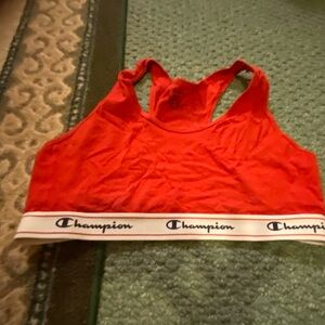 Champion sports Bra 2Xl